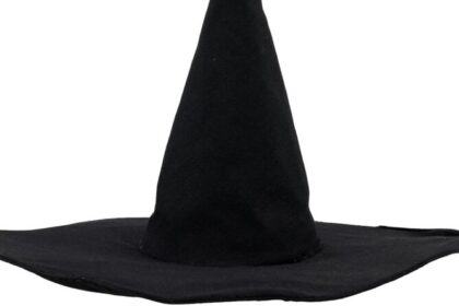 The Wicked Witch of the West’s original Wizard of Oz hat sells for £430353 topping a Dallas auction that also saw Ruby Slippers and Judy Garland costumes fetch huge prices.