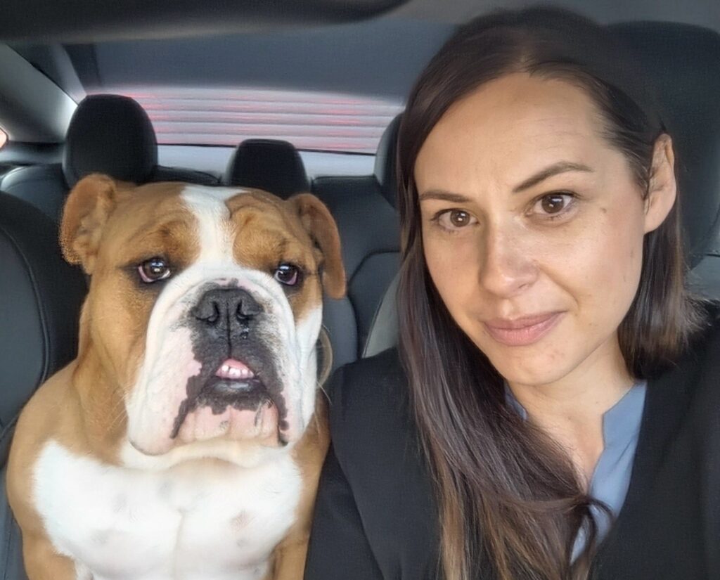 Dog gives away owners secret pub trips as stubborn bulldog refuses to walk past local boozer forcing wife to discover husbands cheeky pint routine in Yorkshire.