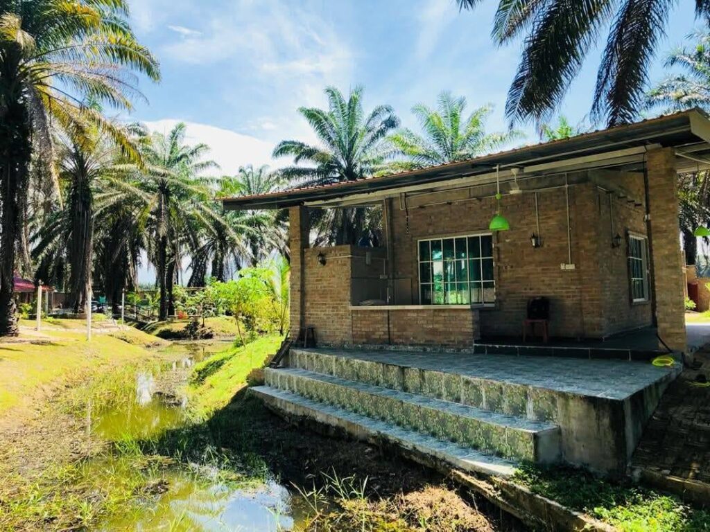 Youth retirement home opens for burned out Gen Z offering a month of sleep nature and no schedules as stressed young adults seek escape from modern pressure.