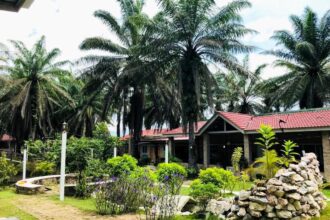 Youth retirement home opens for burned out Gen Z offering a month of sleep nature and no schedules as stressed young adults seek escape from modern pressure.