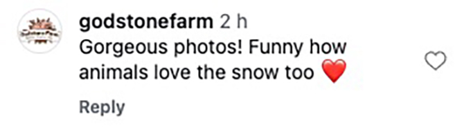 Social media comment on the post of White rhino calves Markus and Mo experienced snow for the first time at Cotswold Wildlife Park, Oxfordshire, bouncing and playing in the frosty weather joyfully.