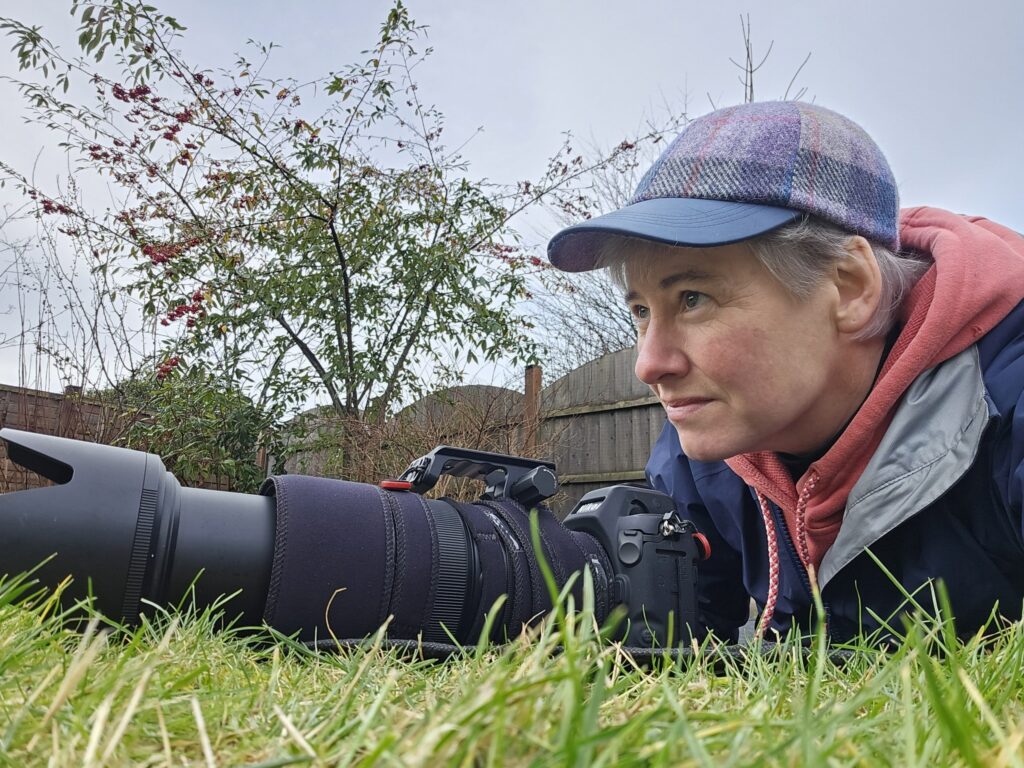 Rare red squirrel filmed doing aggressive war dance on garden fence in Blairgowrie, Scotland, stomping and swishing its tail after spotting a rival in Karen Miller's garden.