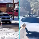 Cheeky cat Bruce caught hitching ride on estate agent's car roof in Mantua, Utah. The polydactyl moggy was escorted home after neighbors flagged down driver.