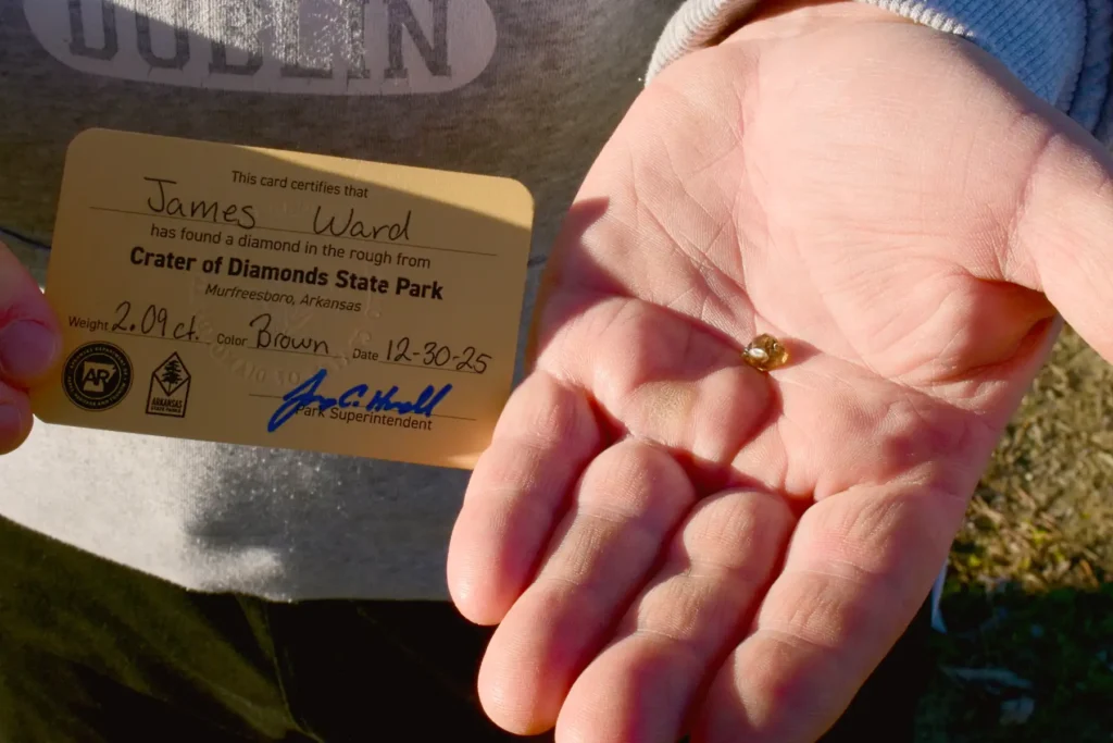 Dad finds 2-carat brown diamond worth £12,000 while mining with son at Arkansas state park - family nearly went home but kids insisted on staying second day.