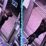 Shelter dog Dawson escapes by unlocking two doors himself - desperate search underway for smart mixed-breed in West Virginia. Incredible footage shows clever escape.