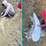 Massive 1.5m mastodon tusk over 100,000 years old discovered buried in Argentina nature reserve. Extinct notiomastodon platensis went extinct 10,000 years ago.