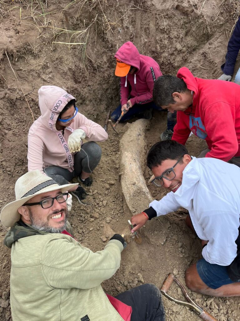 Massive 1.5m mastodon tusk over 100,000 years old discovered buried in Argentina nature reserve. Extinct notiomastodon platensis went extinct 10,000 years ago.