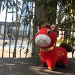 Factory worker's sewing mistake turned smiling toy horse into frowning version - it became instant hit with daily sales jumping from 400 to tens of thousands units.