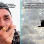 Gogglebox star Joe Baggs left traumatised after seagulls swoop and eat baby turtles during beach release in Mexico - distressing video goes viral with 1.9M views.