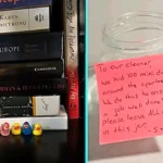 Housemaid horrified after client left trail of 100 tiny ducks around home to test her cleaning. Devon Weitman called the game demeaning and ended the contract.