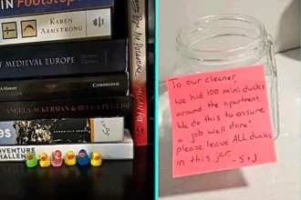 Housemaid horrified after client left trail of 100 tiny ducks around home to test her cleaning. Devon Weitman called the game demeaning and ended the contract.