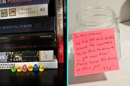 Housemaid horrified after client left trail of 100 tiny ducks around home to test her cleaning. Devon Weitman called the game demeaning and ended the contract.