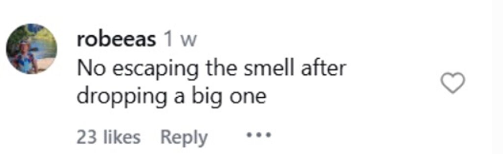 Social media comment on the post of Horrified traveller's budget hotel stay goes viral after filming tiny bed squeezed inches from toilet and shower at Airport Hotel Sydney. Libni Fortuna paid £55.