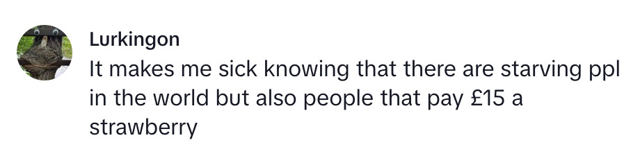 Influencer sparks backlash after paying £180 for 24 luxury Harrods strawberries, only to slam their taste as ordinary and warn fans they are not worth it