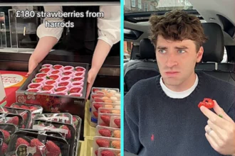 Influencer sparks backlash after paying £180 for 24 luxury Harrods strawberries, only to slam their taste as ordinary and warn fans they are not worth it