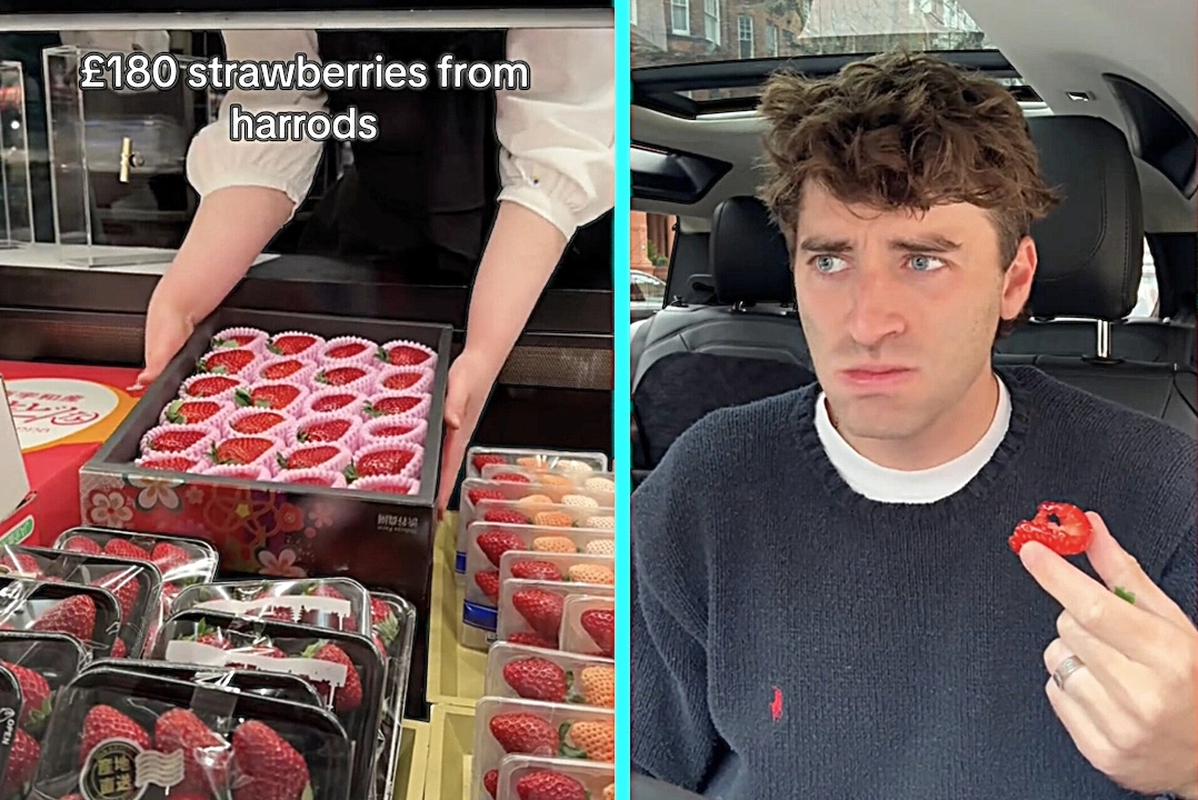 Influencer sparks backlash after paying £180 for 24 luxury Harrods strawberries, only to slam their taste as ordinary and warn fans they are not worth it