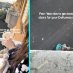 Hungover friends Angel Sweetman, 24, and her pals created a pulley system using six dressing gown ropes to hoist their Slim Chickens takeaway up three storeys in Cardiff.