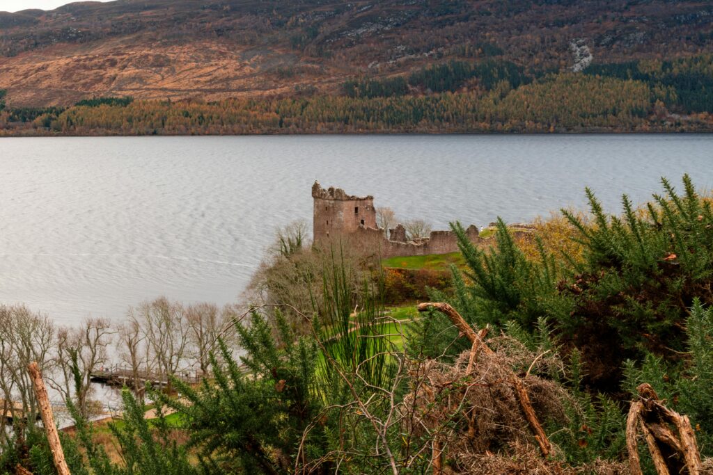 Locals launch Save Loch Ness campaign to stop pumping stations, wind farms and telecoms towers. Petition gains support as residents fight to protect iconic Scottish landmark.