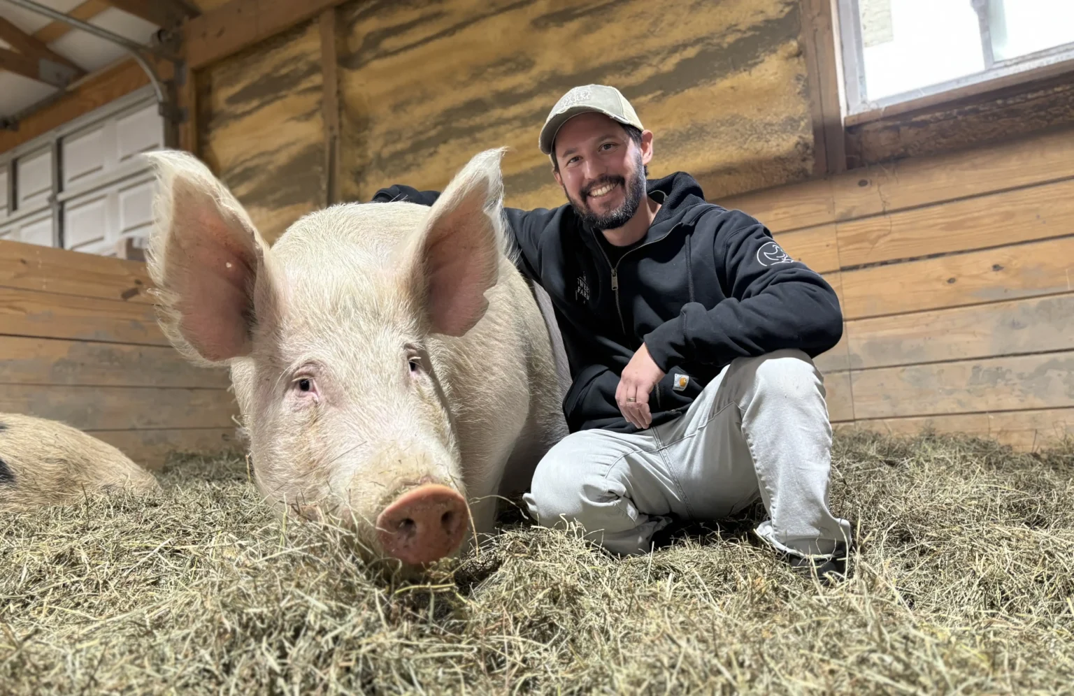 San Francisco startup Mission Barns creates real bacon from pig cells grown in lab cultivators using samples from Dawn, a pig living freely at an animal sanctuary.