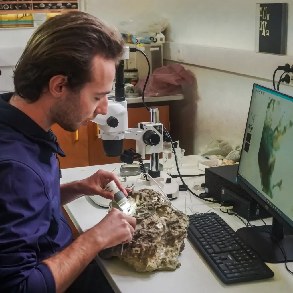 Nest of 150 million-year-old dinosaur eggs discovered on Portuguese cliff may contain embryo traces. Carnivorous dino laid them on riverbank in Late Jurassic period.