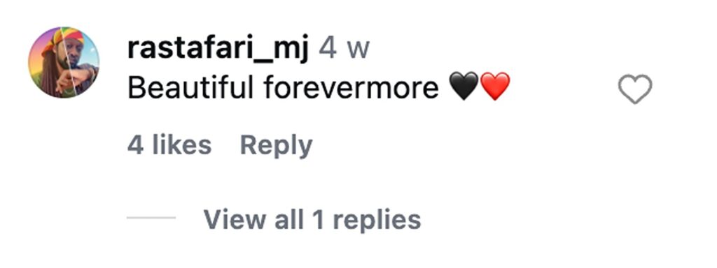 Social media comment on the post of Woman called monkey and told to shave refuses to listen - Asyikin Abdul Rahman, 27, embraces body hair connecting her to dad despite cruel online bullying and insults.