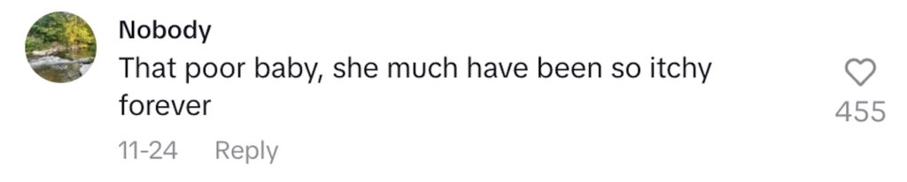 Social media comment on the post of Sydney lice technician forced to shave client's head after discovering millions of nit eggs layered so thickly they were impossible to comb out without severe pain.