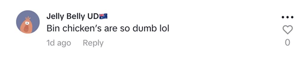 Social media comment on the post of Robert Irwin pleads with alligator Murray not to eat Ibis birds landing near enclosure at family zoo. Crowd on edge as Olympic mascot birds approach danger.