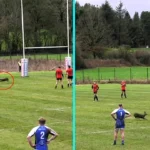 Rugby match stopped as speedy deer runs onto field slaloming through bemused players in Rochdale. Roe deer invaded Challenge Cup first round match. Home team lost 12-18.