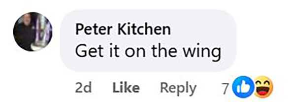 Social media comment on the post of Rugby match stopped as speedy deer runs onto field slaloming through bemused players in Rochdale. Roe deer invaded Challenge Cup first round match. Home team lost 12-18.