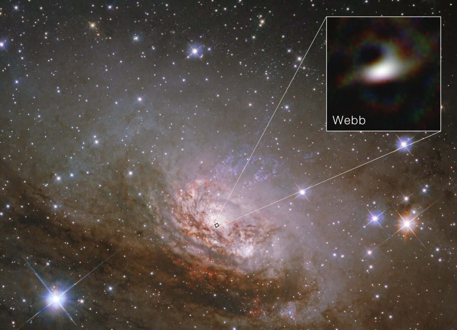 James Webb Space Telescope reveals the hidden heart of the Circinus Galaxy, exposing swirling dust, gas and the extreme environment around a feeding supermassive black hole