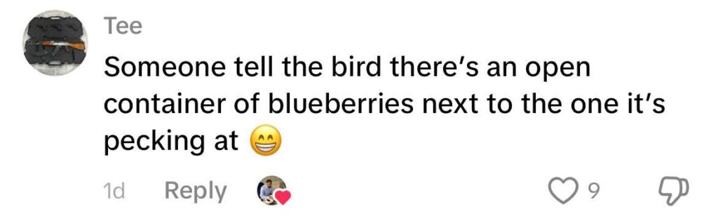 Social media comment on the post of Shoppers stunned as cheeky starling caught pinching blueberries at ASDA Wembley, pecking through packaging. Hassan Pervez filmed the winged thief helping itself to fruit.