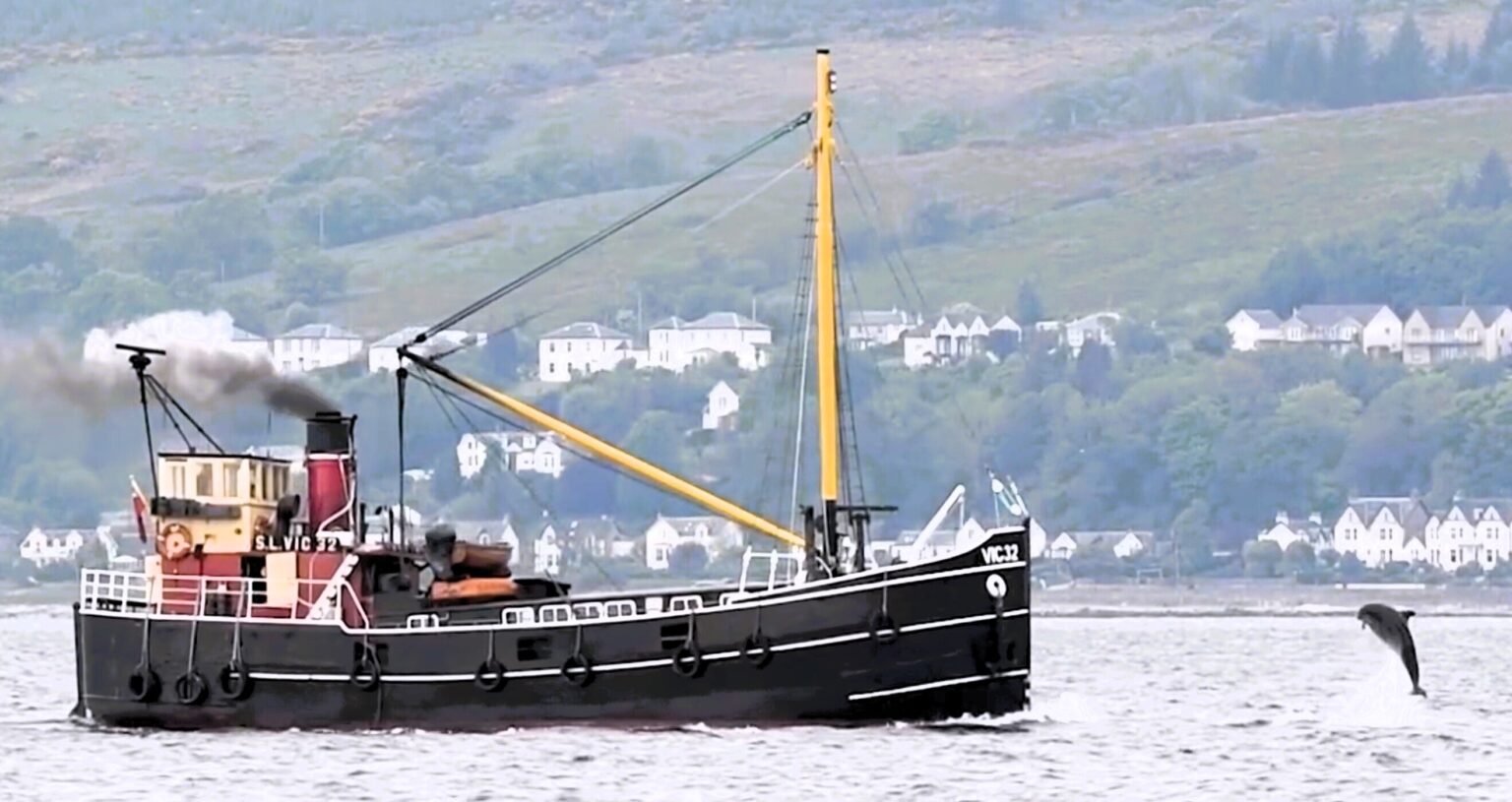 Pair of dolphins perform amazing acrobatics near heritage steamboat Vic 32 at Wemyss Bay, Firth of Clyde. Show-off marine mammals delighted onlookers near Glasgow.