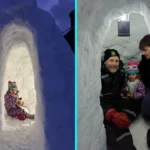 Stonemason builds igloo with working fireplace and chimney during Beast from the East - Kyle Doran hand crafts cosy shelter in Orkney garden for toasting marshmallows with daughter.