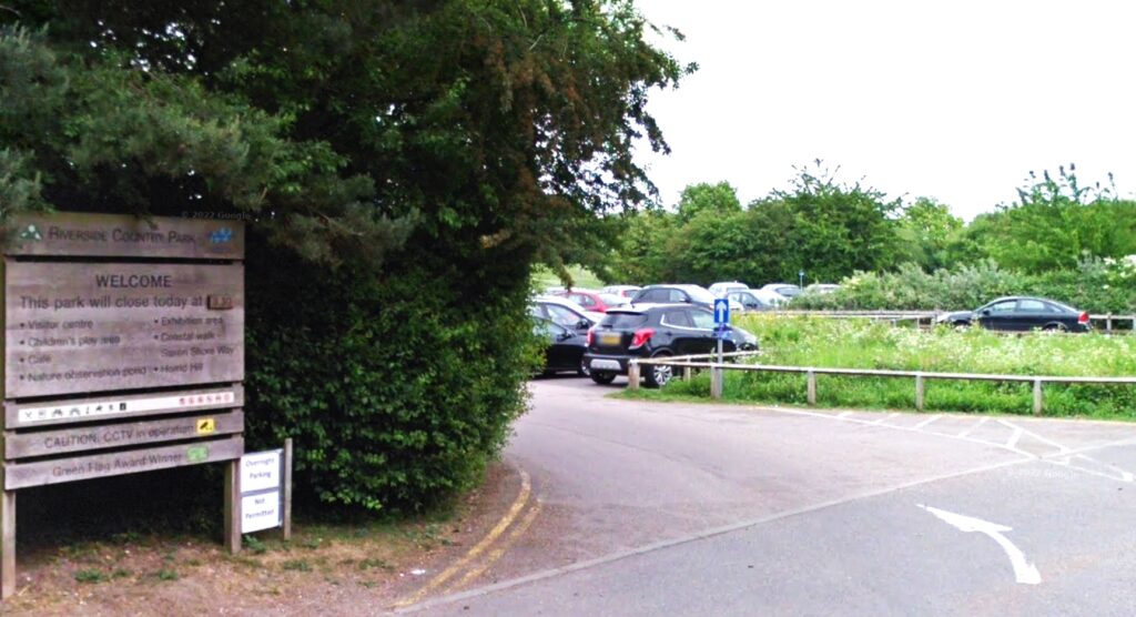 Sweet-toothed squirrel spotted chilling with Cornetto ice cream from bin at Riverside Country Park, Gillingham, Kent. The grey squirrel grasped the treat in its tiny paws.