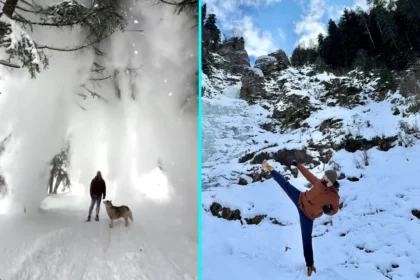 Six-time European taekwondo champion Alexander Yashin's perfectly-timed kick sent snow exploding from a tree in Russia's Caucasus mountains, with the fairytale moment gaining 28 million Instagram views.