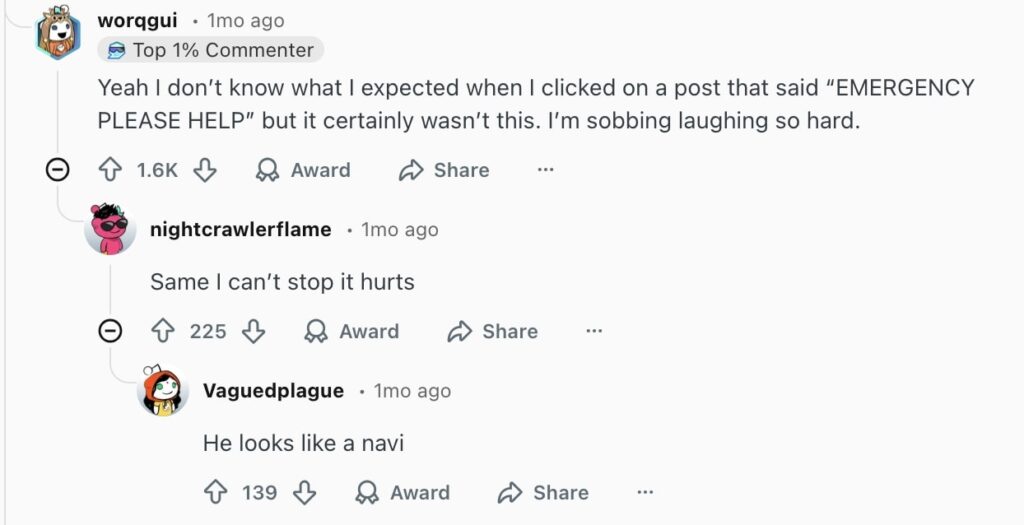 Social media comment on the post of Toddler accidentally turned orange cat blue with chalk paint roller in morning chaos, leaving desperate parent seeking Reddit advice after baths and brushing failed to restore original colour.