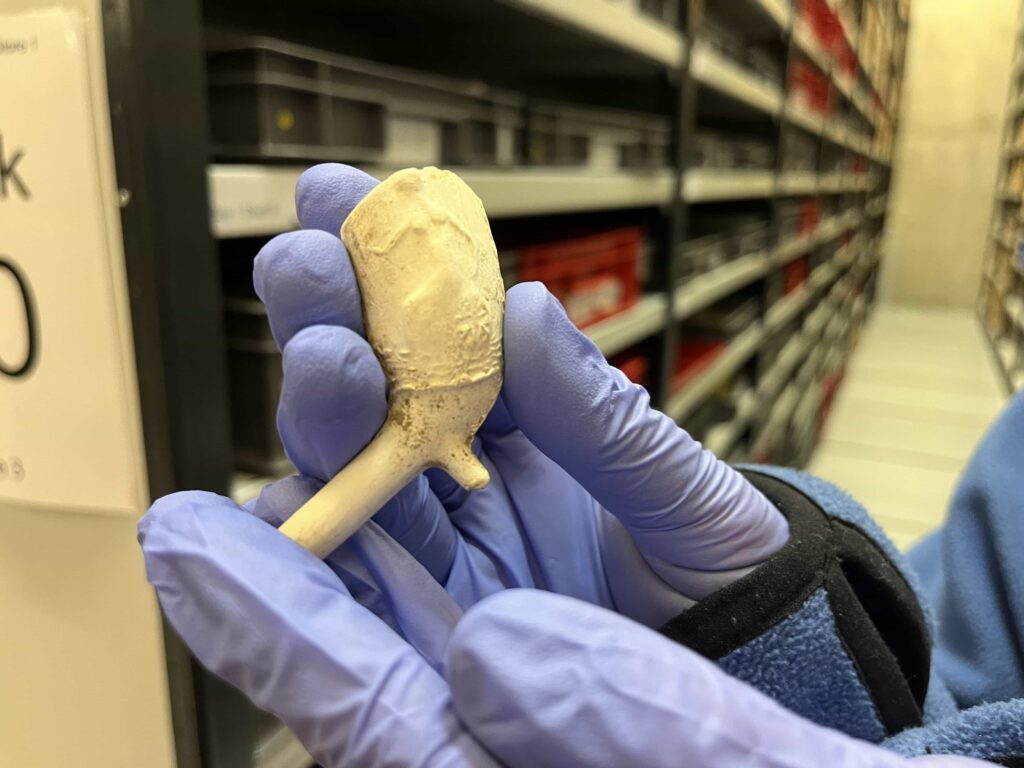 Ancient artefacts spanning 6,000 years have been unearthed during a major Leeds road project, revealing Stone Age tools, Roman finds and medieval remains