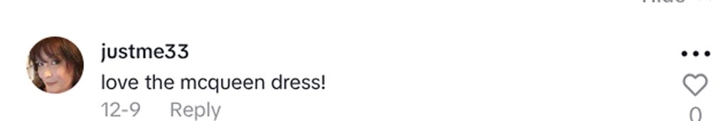 Social media comment on the post of Bargain hunter Holly Wood bought Alexander McQueen dress worth over £300 for just £2 at Manchester charity shop alongside Michael Kors belt and Lulu Guinness purse haul.