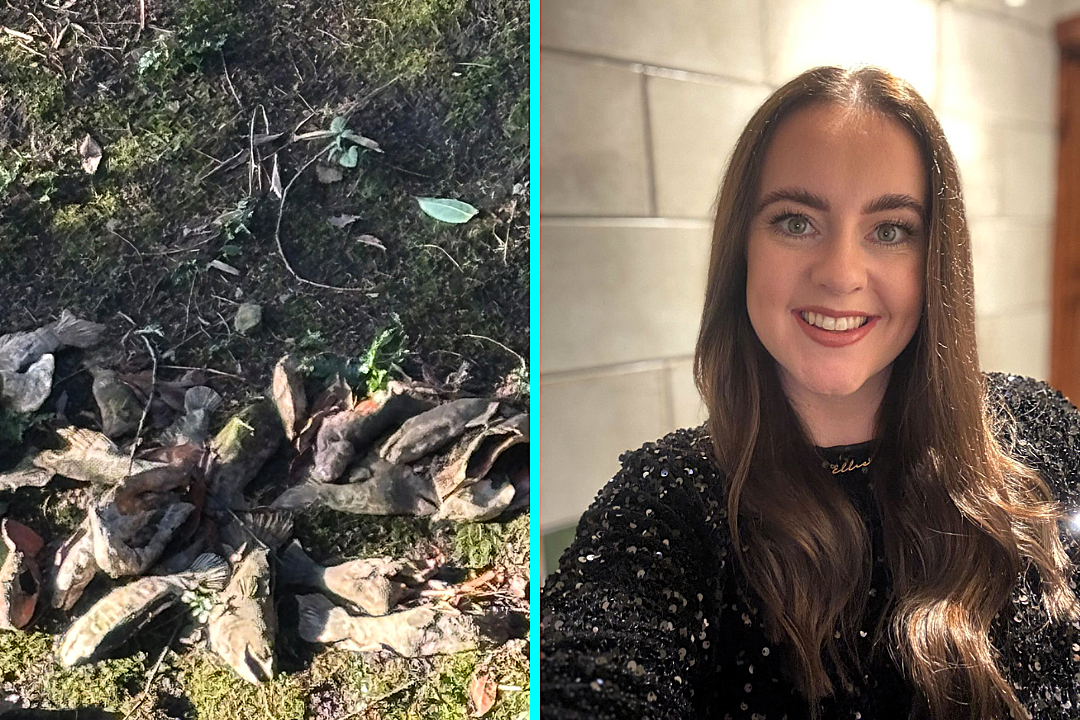 Worried mum reports dozens of dead fish floating in Barnsley park pond to officials. Ellie Cosgrove left mortified to discover they were clay art installation.