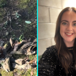 Worried mum reports dozens of dead fish floating in Barnsley park pond to officials. Ellie Cosgrove left mortified to discover they were clay art installation.