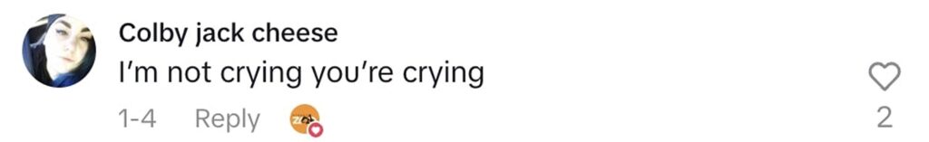 Social media comment on the post of Twin hyenas Etosha and Nakuru born against the odds at Sydney Zoo melt hearts in viral video. The two-week-old cubs have 2.1 million views as they explore their home.