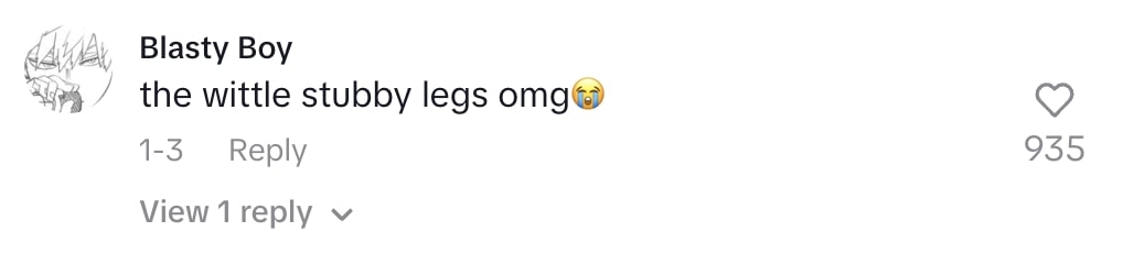 Social media comment on the post of Twin hyenas Etosha and Nakuru born against the odds at Sydney Zoo melt hearts in viral video. The two-week-old cubs have 2.1 million views as they explore their home.