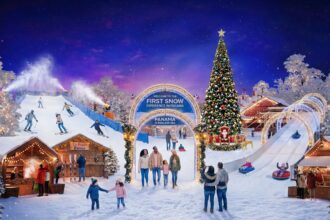 Panama winter wonderland event shut down after AI-generated promo showed skiing and ice skating but reality was dingy warehouse with soap foam instead of promised artificial snow.