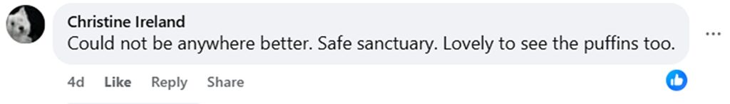 A smiling seal struck poses while soaking up winter sun on a quiet UK beach, delighting photographers and fans after the charming marine model was caught on camera