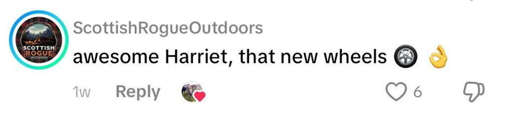 Social media comment on the post of Clarkson's Farm star Harriet Cowan has wowed fans with her new Toyota Hilux - but the rugged pickup has been slapped with the worst possible CO2 emissions rating.