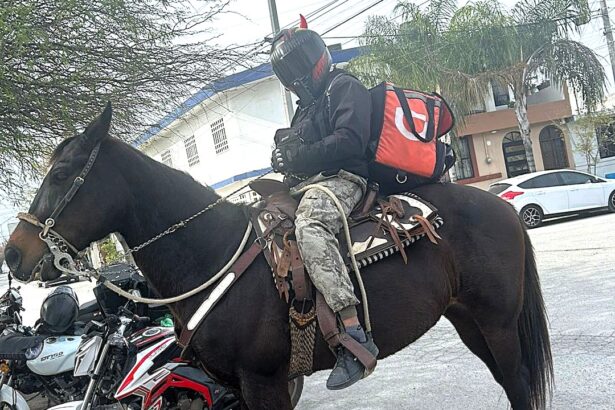 Courier Sebastian Guzmán delivers takeaways on horseback after his motorbike breaks down in Mexico. His unorthodox delivery method stuns colleagues and customers.
