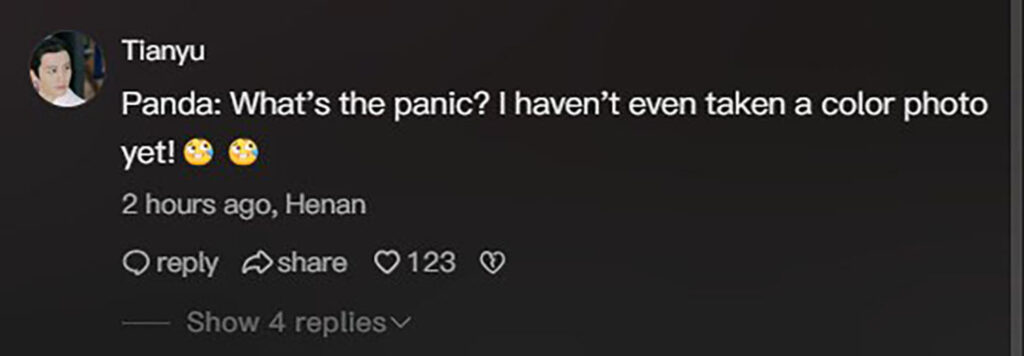 Social media comment on the post of A panda at a Chinese breeding centre refused to give back a tourist's dropped phone - munching a carrot with one paw while clutching the device with the other and rolling away from zookeepers trying to retrieve it.