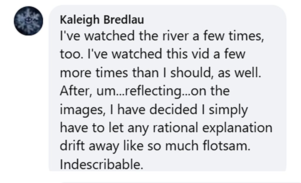 A fleet of mysterious objects filmed over the Hudson River has sparked UFO frenzy, with more than 100 shapes drifting in formation as alien file claims resurface.