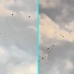 A fleet of mysterious objects filmed over the Hudson River has sparked UFO frenzy, with more than 100 shapes drifting in formation as alien file claims resurface.