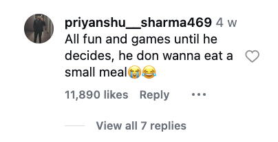 Freedivers were left speechless when a 50ft Bryde’s whale surged through a bait ball beside them in Mexico, gulping fish just metres away in a breathtaking encounter